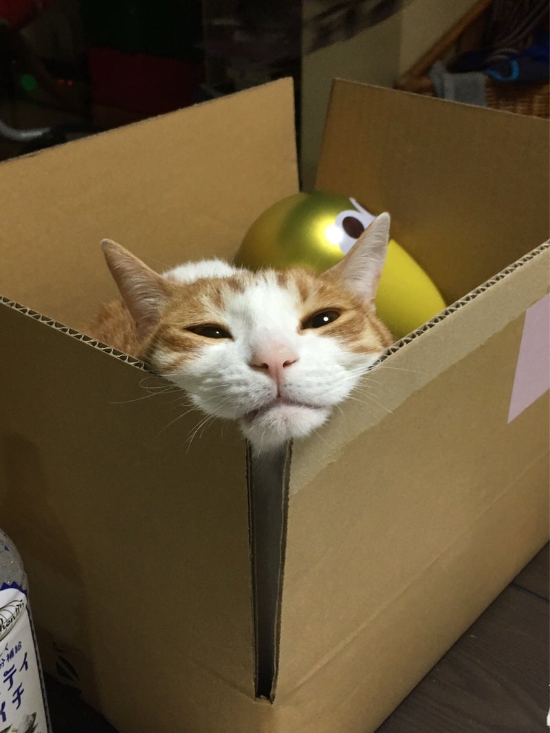 イメージ 4