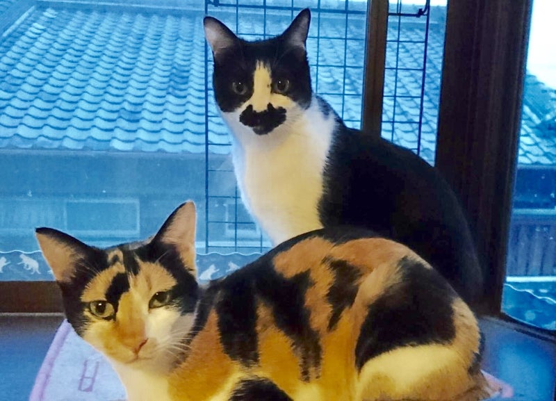 イメージ 3