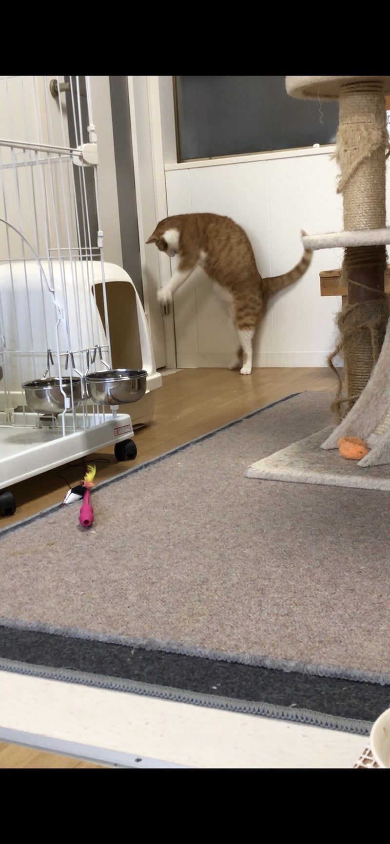 イメージ 3