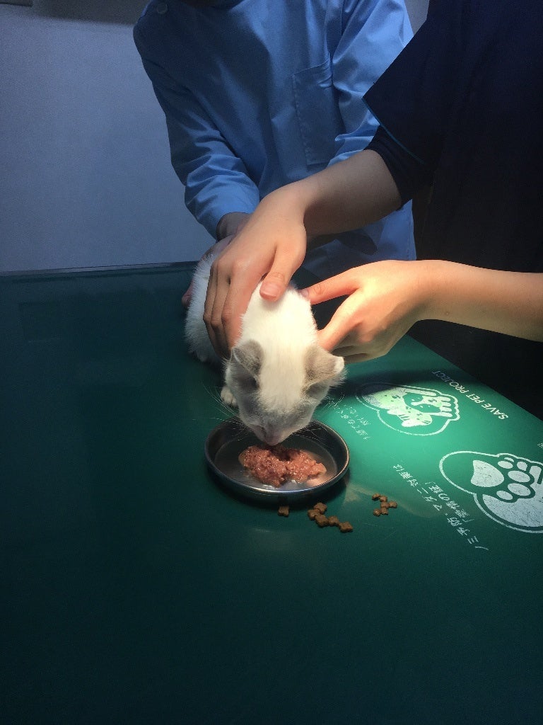 イメージ 3