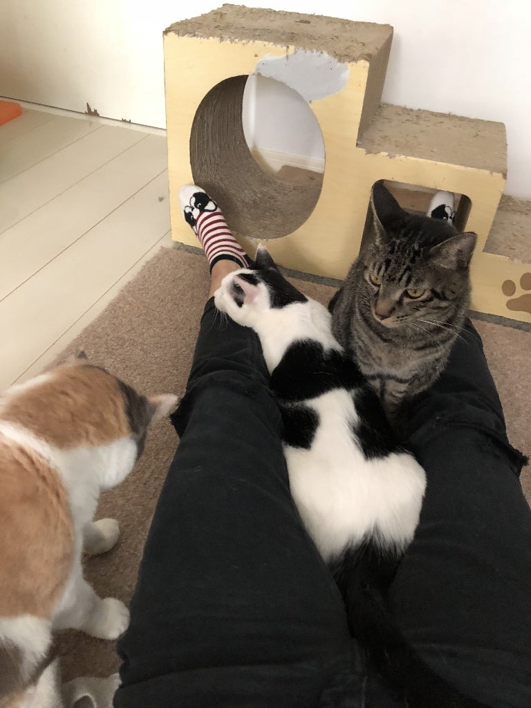 イメージ 5