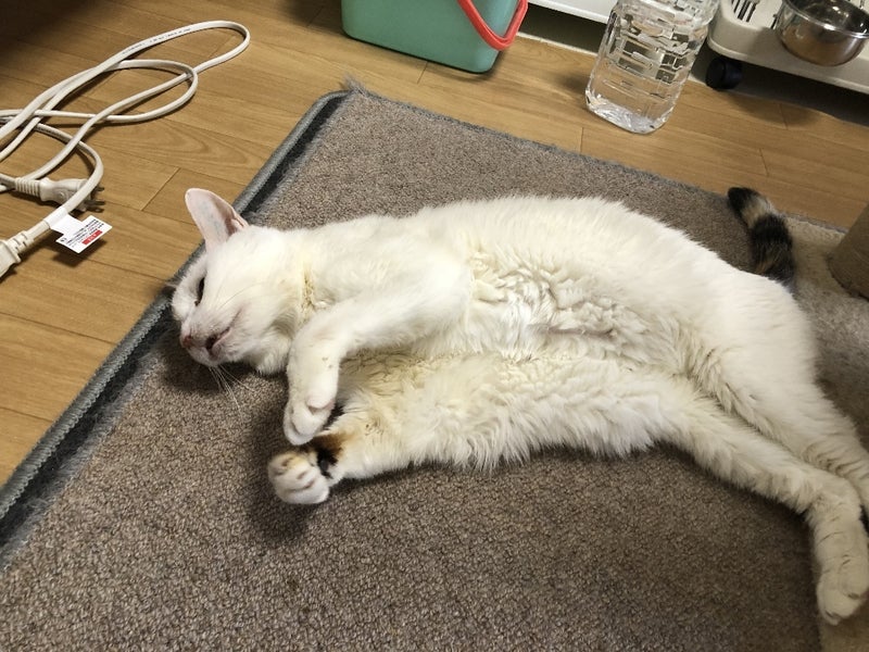 イメージ 1