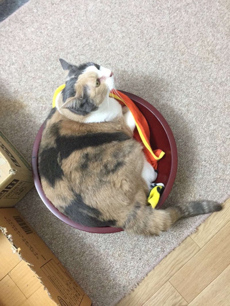 イメージ 1