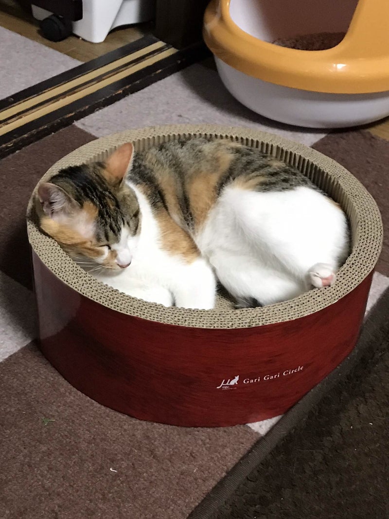 イメージ 3