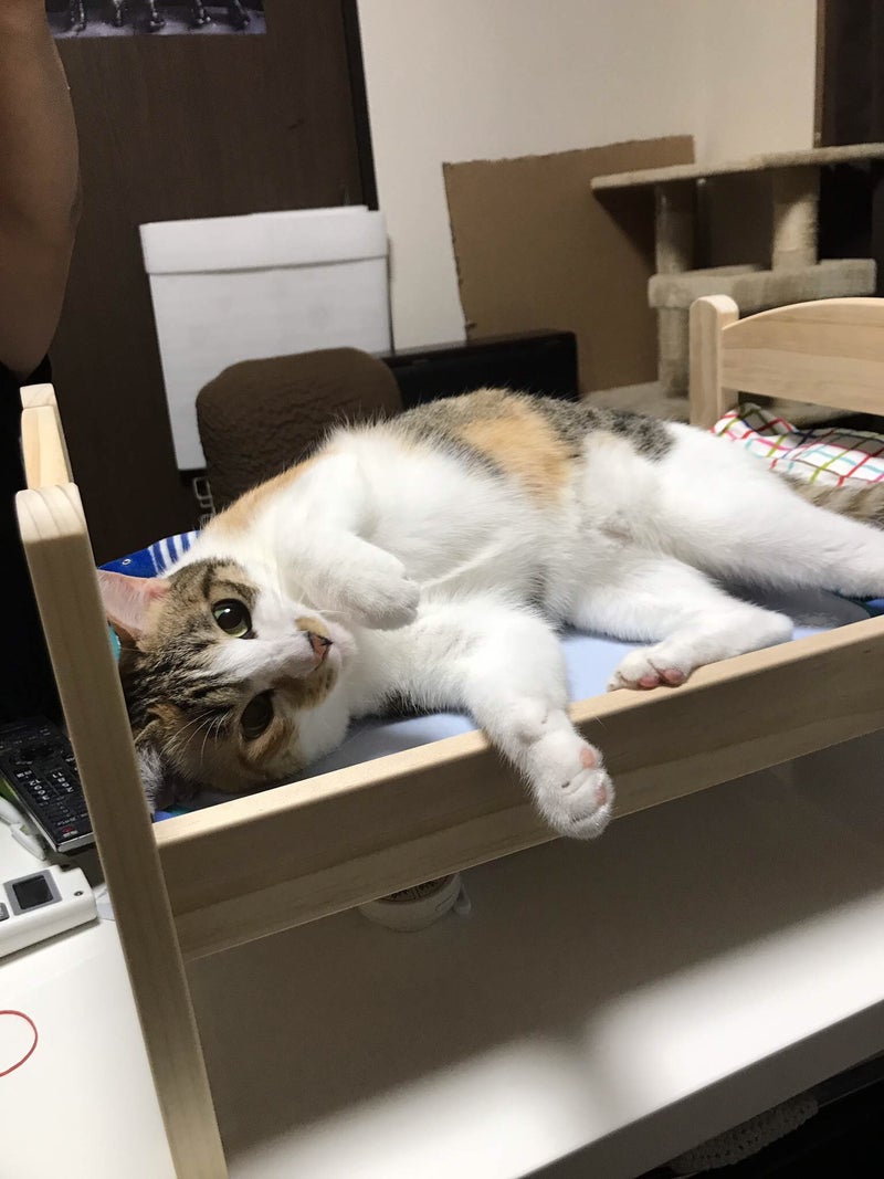 イメージ 1