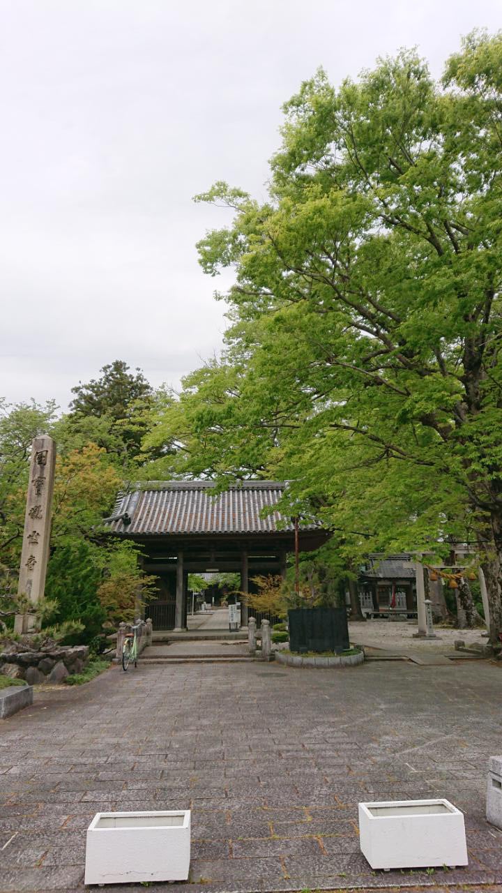 2019年春シーズン総括とGWの旅の記事画像