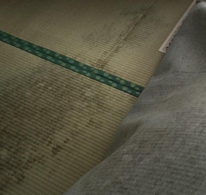 畳のカビ取り 畳のカビを落とす方法 Part１ 稀麗 Kirei 純閃堂 お掃除アドバイザーブログ