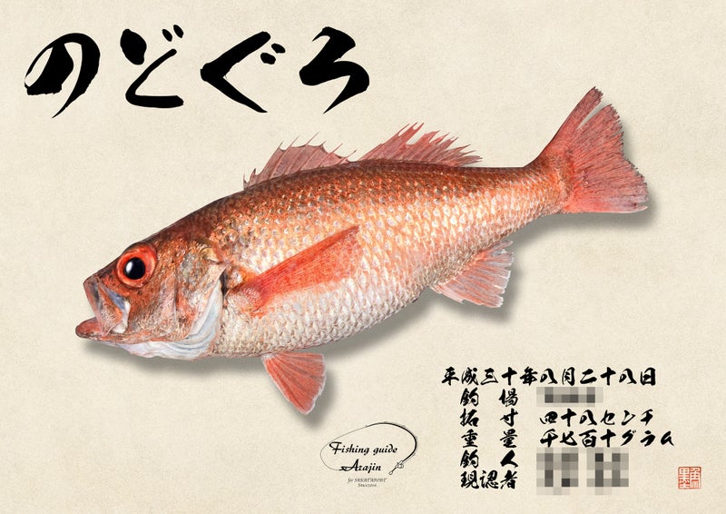 作品紹介 山形県酒田市 アラジン さま デジタル魚拓の製作日誌 感動を拓したい