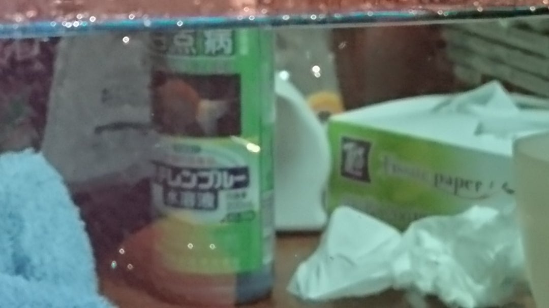 メダカの紹介(琥珀錦)の記事画像
