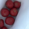美味しいトマト   出回るトマトとハネ品のお話の画像