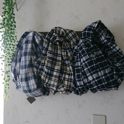 画像 明後日はナツイロコバコ の記事より 7つ目