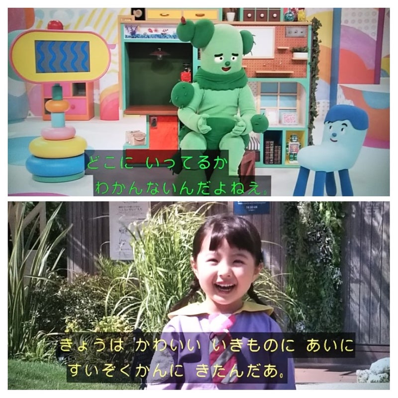 4代目 可愛い スイちゃん スイちゃん(3代目 川島)が2019年に卒業！4代目・歴代の子は何歳？