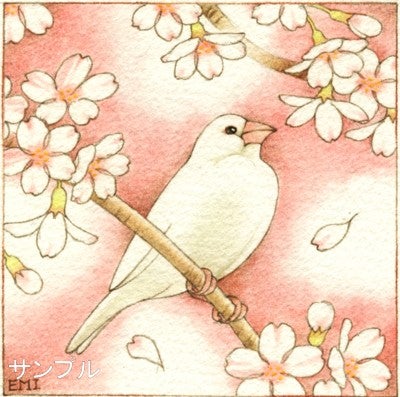 文鳥のイラスト 桜の花に囲まれて 白文鳥 イラスト工房 Emi