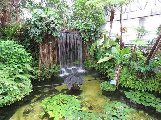 館 夢の島 熱帯 植物 東京都夢の島熱帯植物館／東京の観光公式サイトGO TOKYO