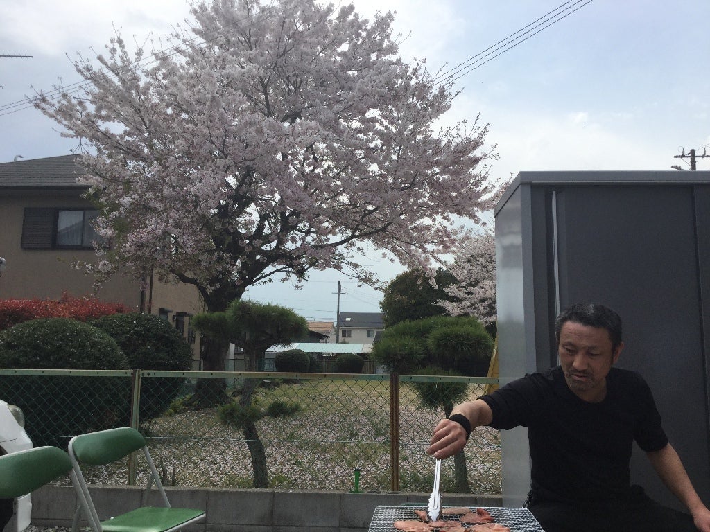 桜の記事画像