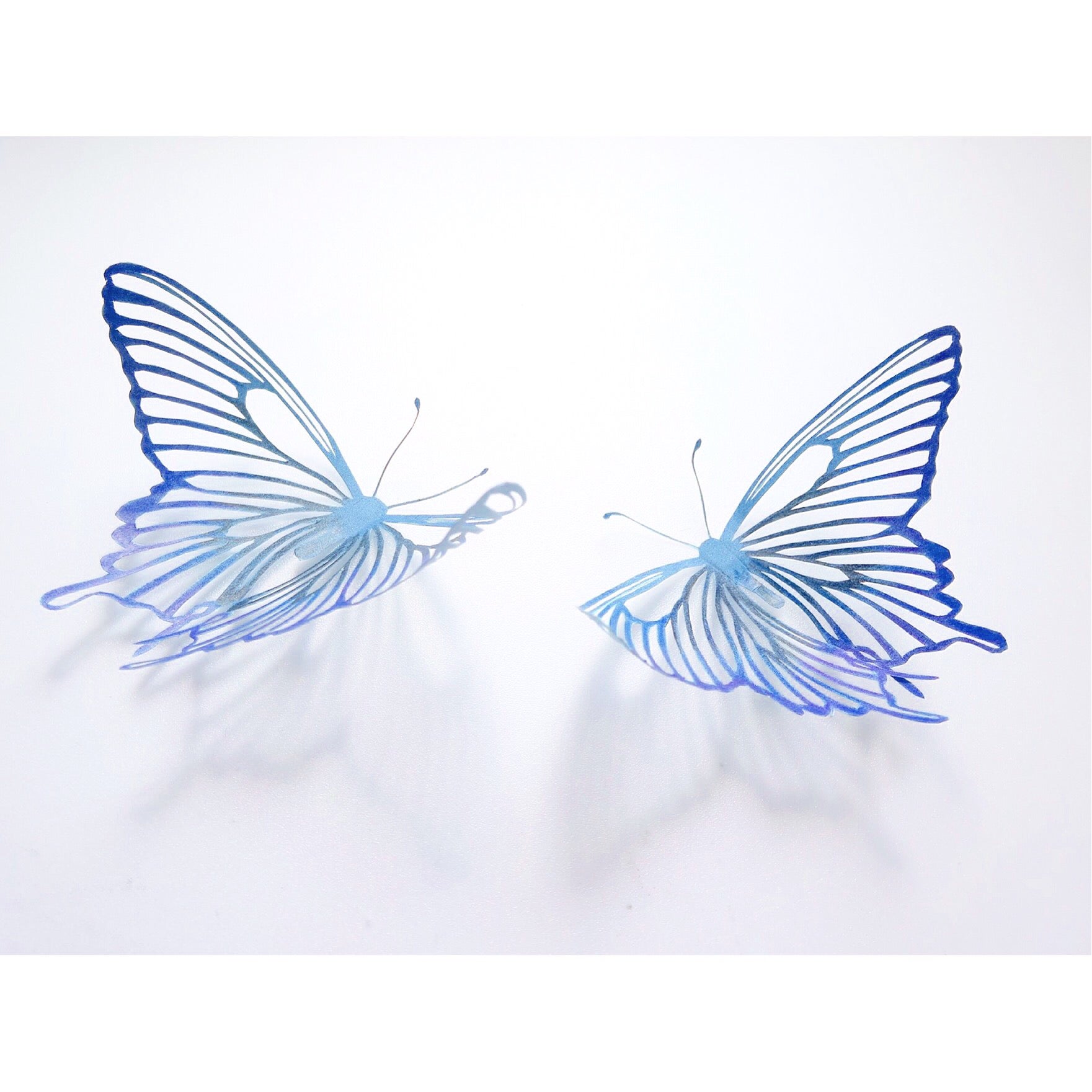 神秘的な体験 アゲハ蝶が指先に Musette カリグラフィー 浜松