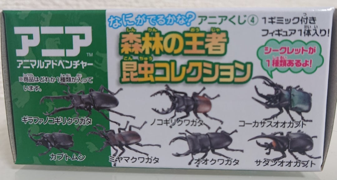 アニアくじ⑥ 森林の王者 昆虫コレクション2 DP-BOX カブトムシ 新品