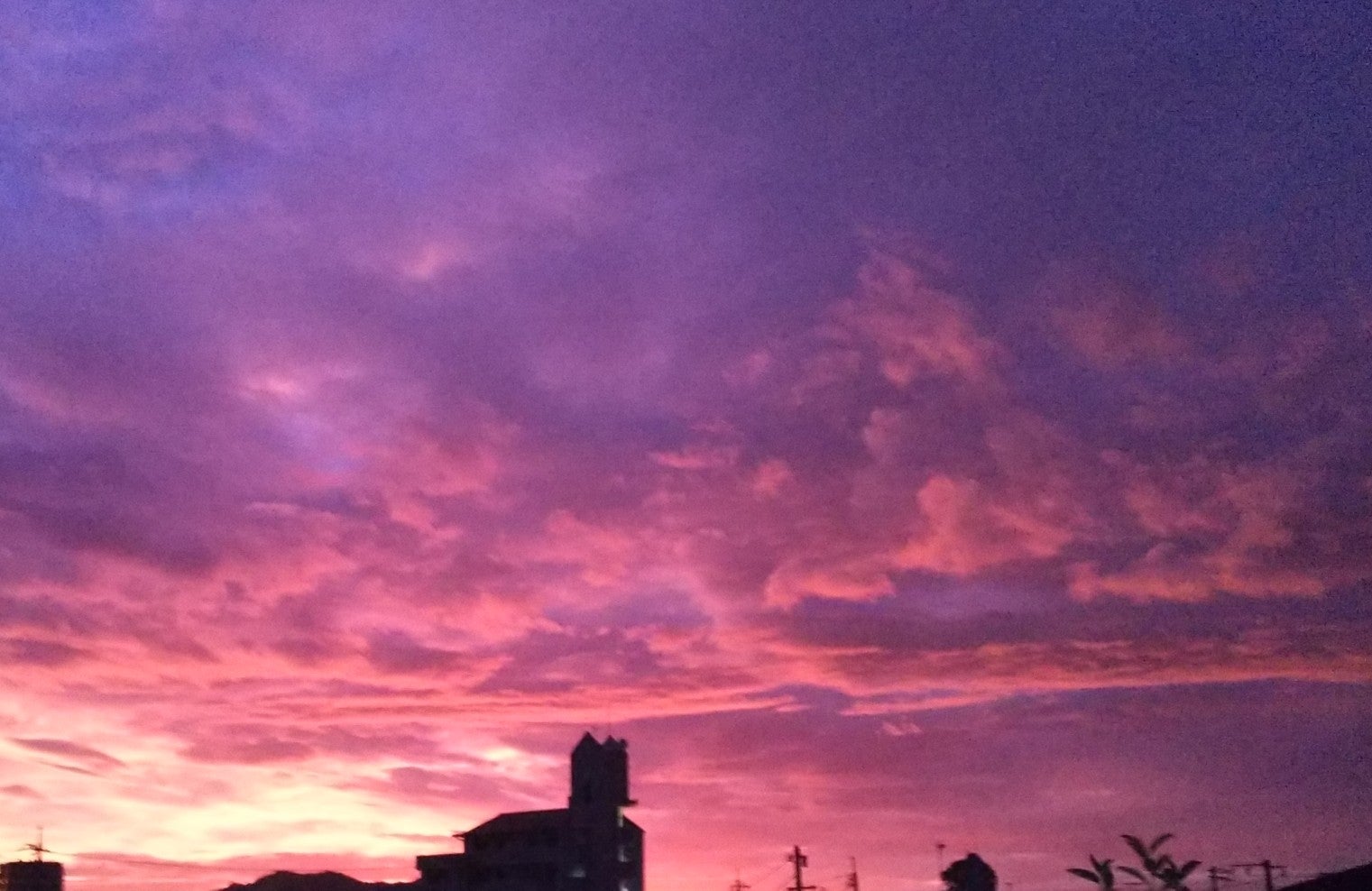 むらさき色をした朝焼けの空 玉ねぎホリダーのブログ
