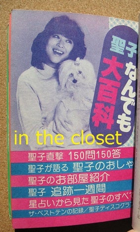 松田聖子大百科」 | in the closet ～クローゼットの中の松田聖子達～