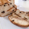 ねこ食パンの画像