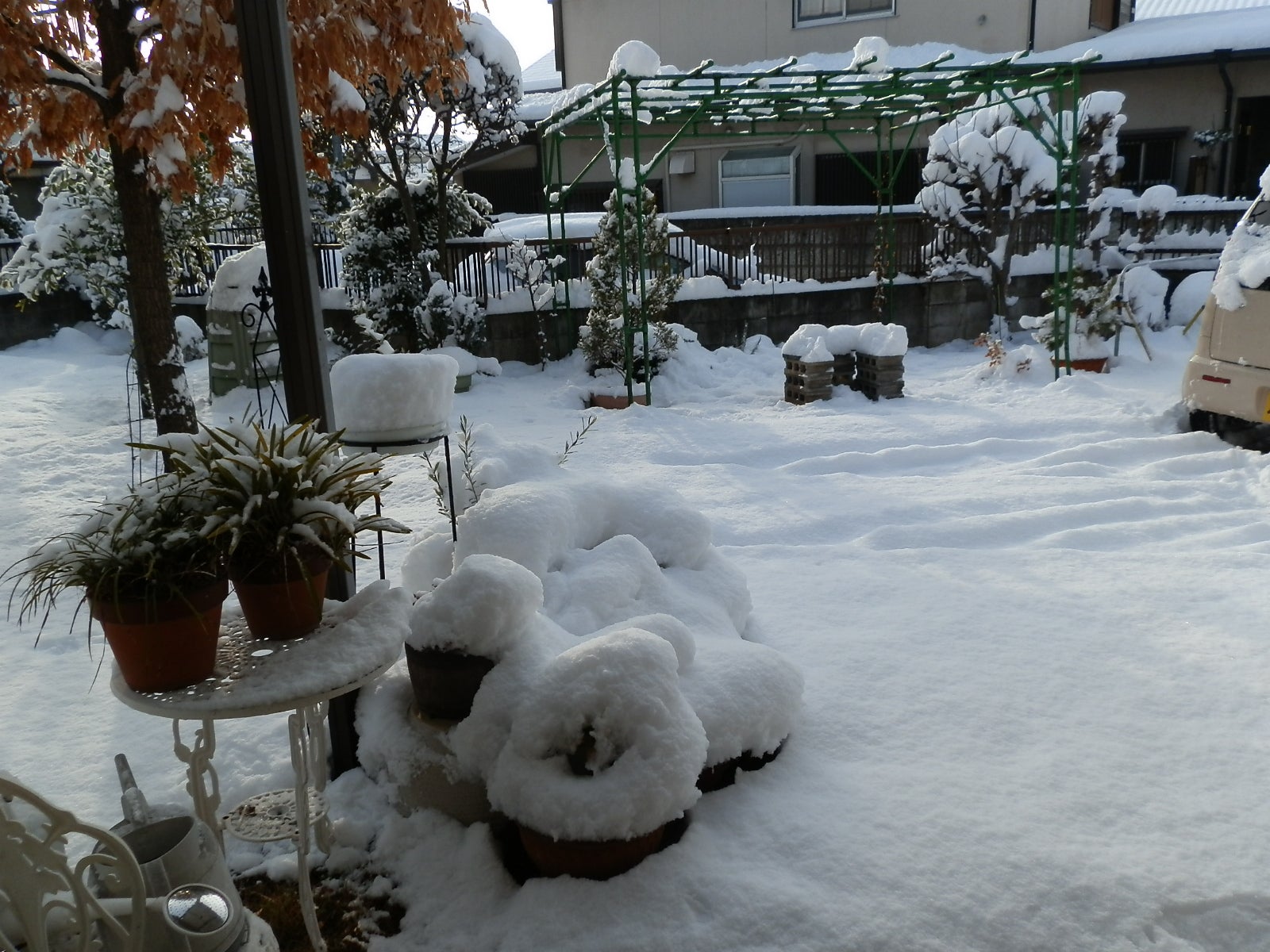 大雪の記事画像