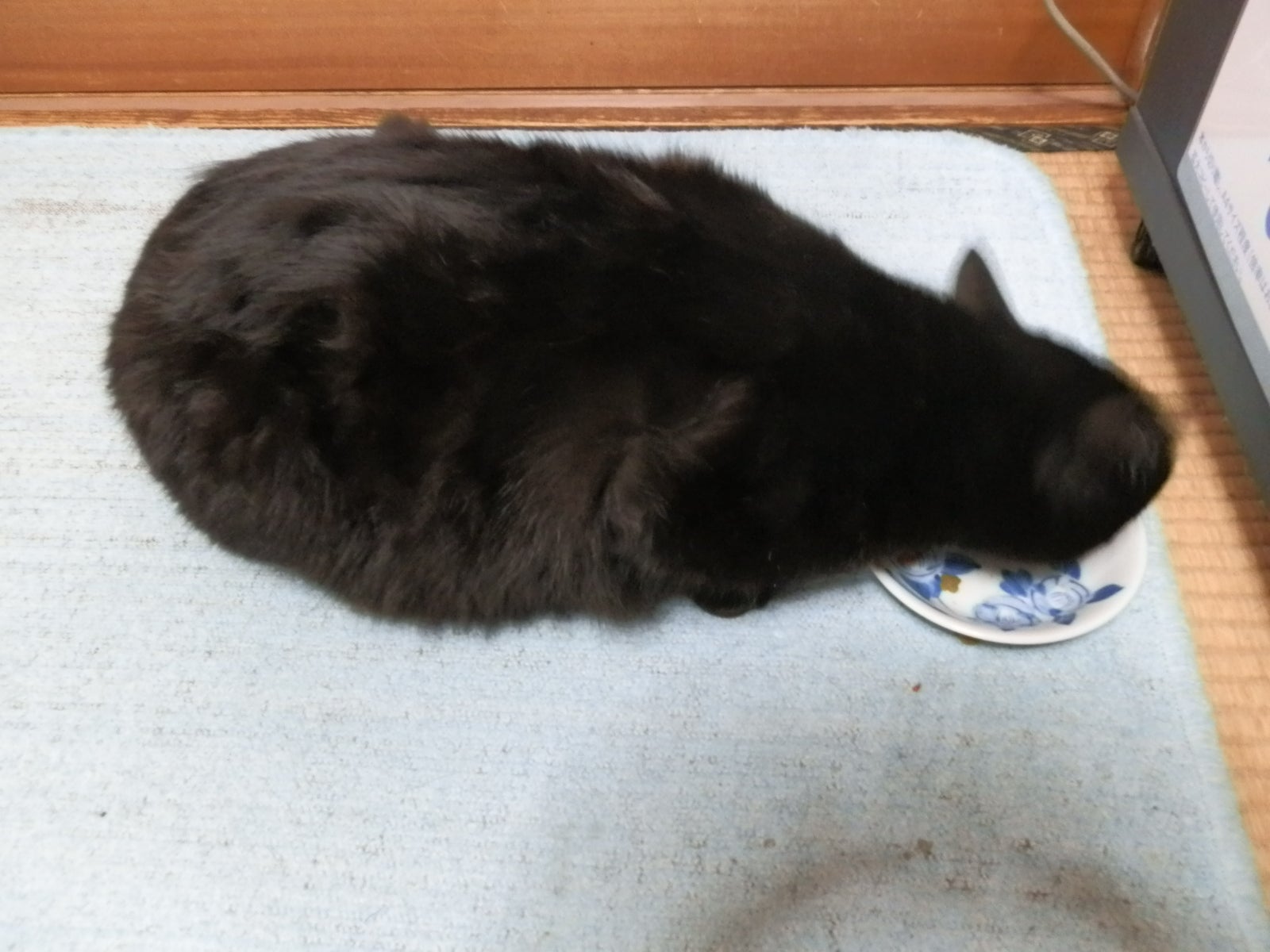 動けるデブの記事画像