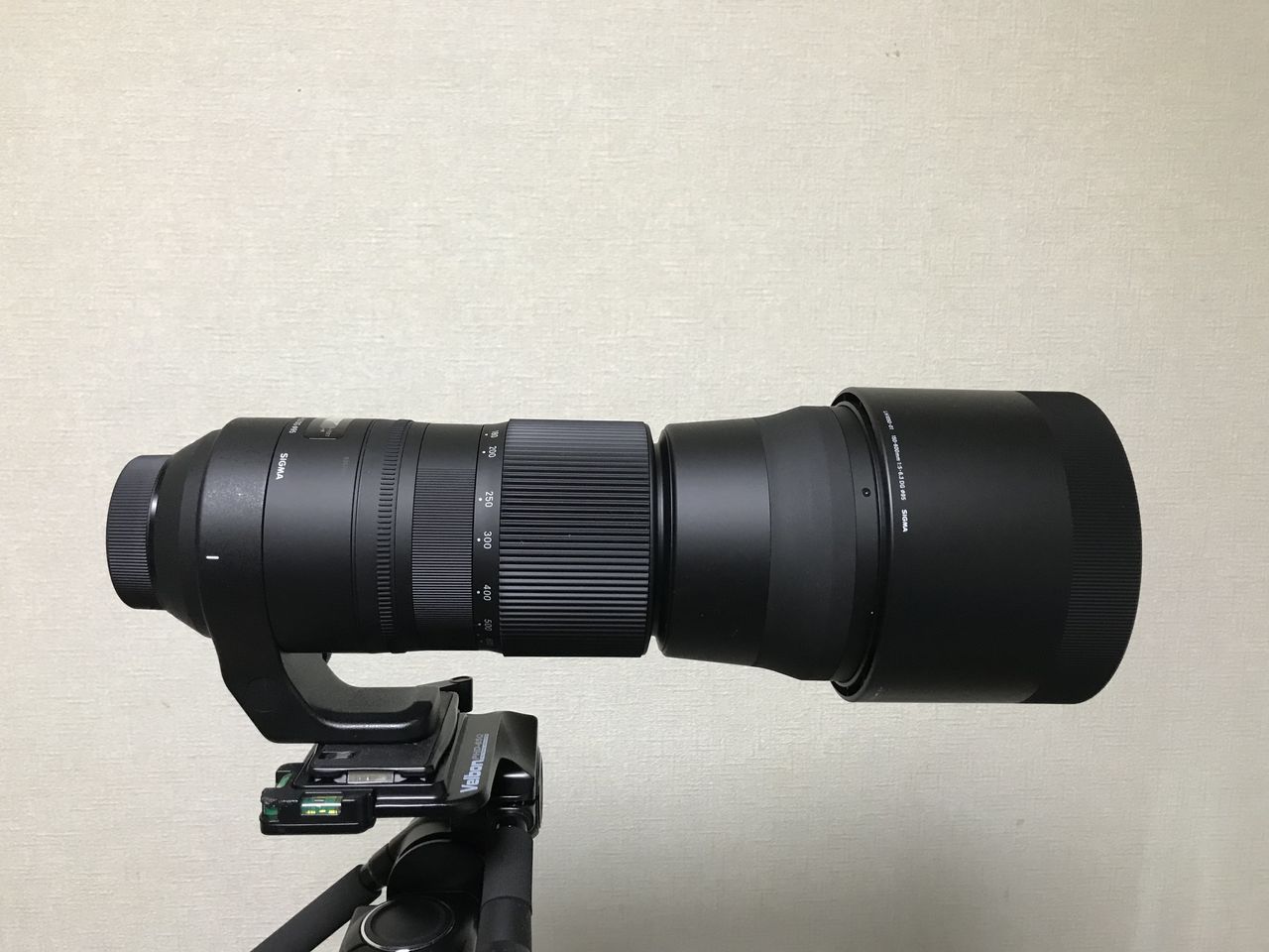 D500に超望遠レンズ/SIGMA 150-600mm | おかづの遊び場