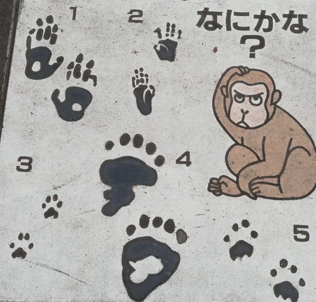 [最も選択された] 猿 足跡 184060猿 足跡