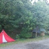 キャンプと、夏の田んぼの画像