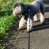 暑さ ピーク！の画像