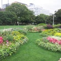 横浜　山下公園の可愛い花
