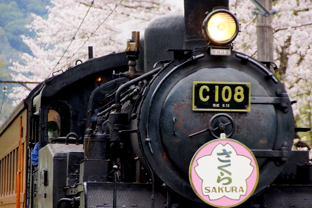 去年の今ごろ。 @大井川鐵道 C108,C5644,C11227 2016.4.6 去年の今ごろ。 @大井川鐵道 C108,C5644,C11227 2016.4.6
