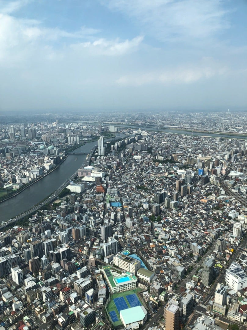 ８月最終日は、、の記事画像