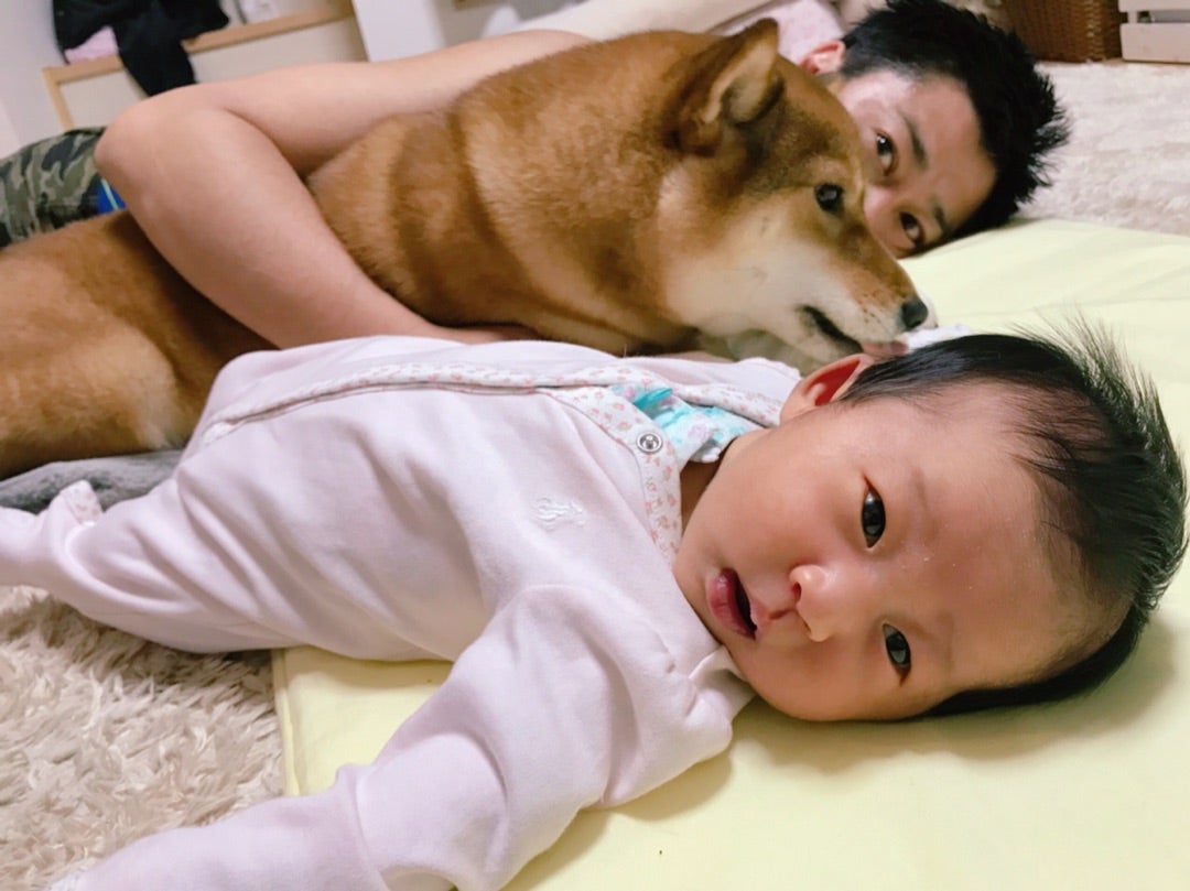 犬と赤ちゃんの生活のはじまりは | 尾形あいオフィシャルブログ 