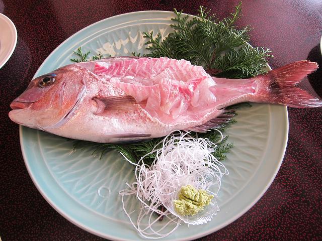 兵庫県南あわじ市 活きのよい鯛料理で有名な淡路島 鯛料理の宿 うめ丸 の活きのよい鯛の活け造り つれづれ旅日記