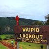 ＷＡＩＰＩＯ　ＬＯＯＫＯＵＴの画像