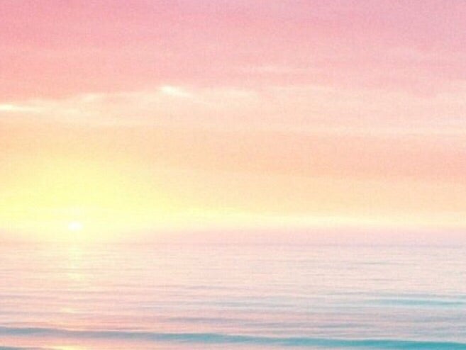 ハワイの風や匂いを感じる、本のこと。♡の記事画像