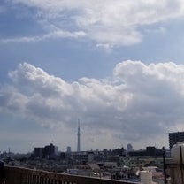 ブログ投稿画像