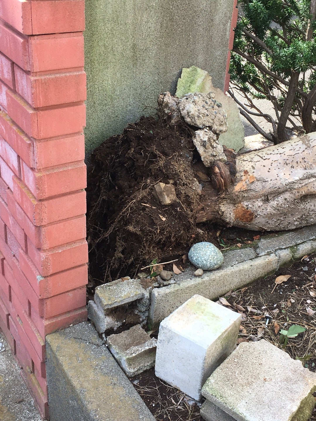 台風被害の記事画像
