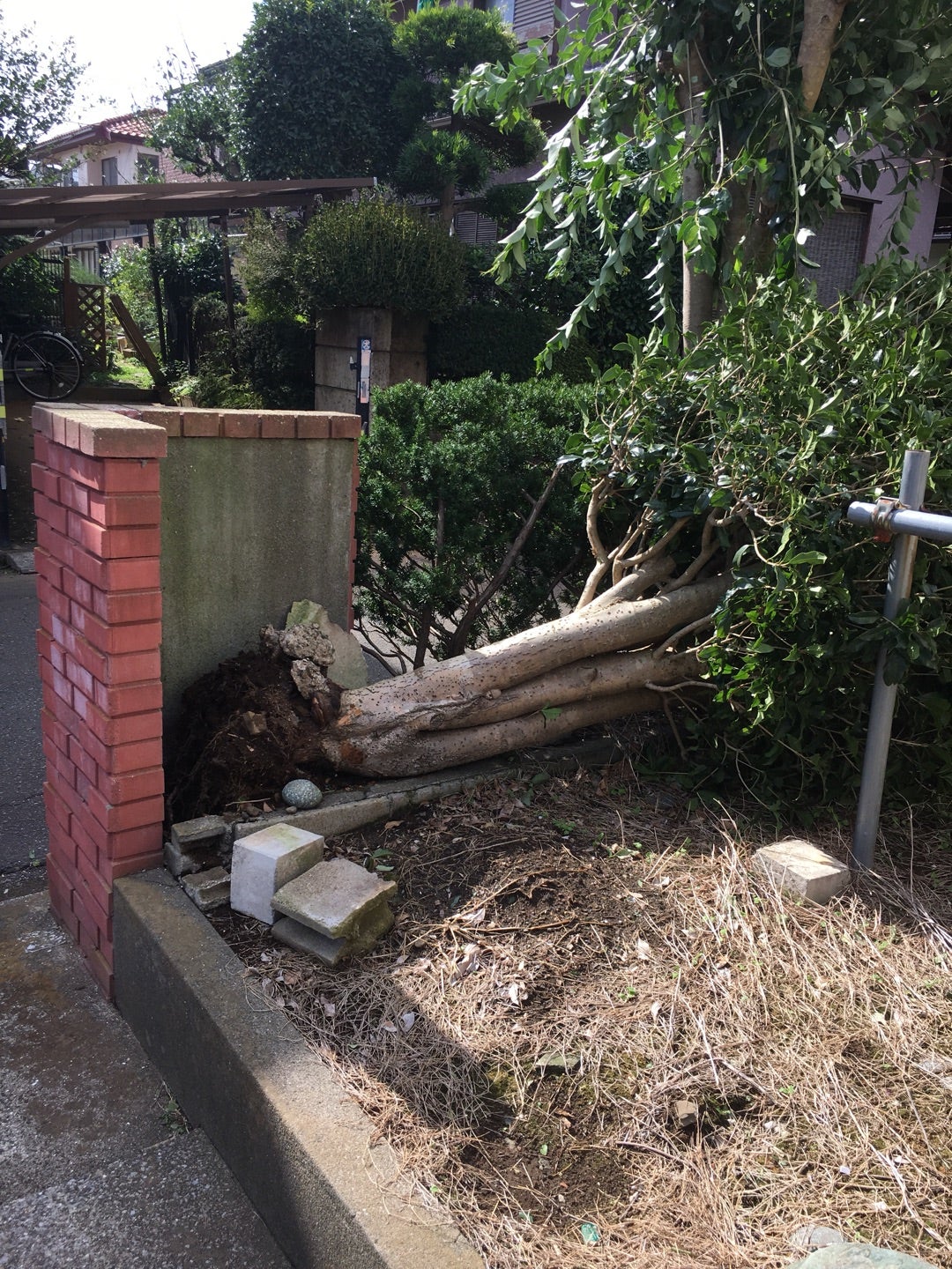 台風被害の記事画像