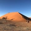 世界遺産 ナミブ砂漠の画像