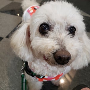 目がデカっ‼️の画像