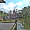 蓮池が美しいUbud Water Palace（バリヒンズー教寺院）の画像