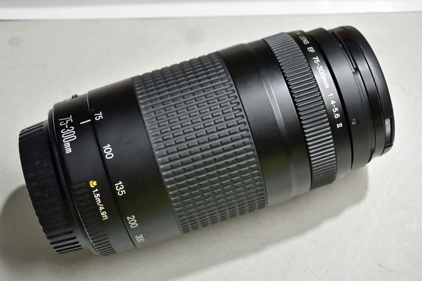 Canon EF 75-300mm F4-5.6 II」分解・清掃 | ヨッシーハイムannex