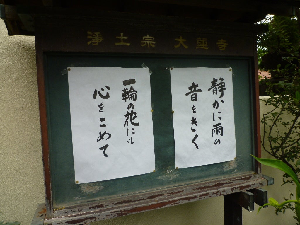紫陽花　前橋　浄土宗大蓮寺の記事画像