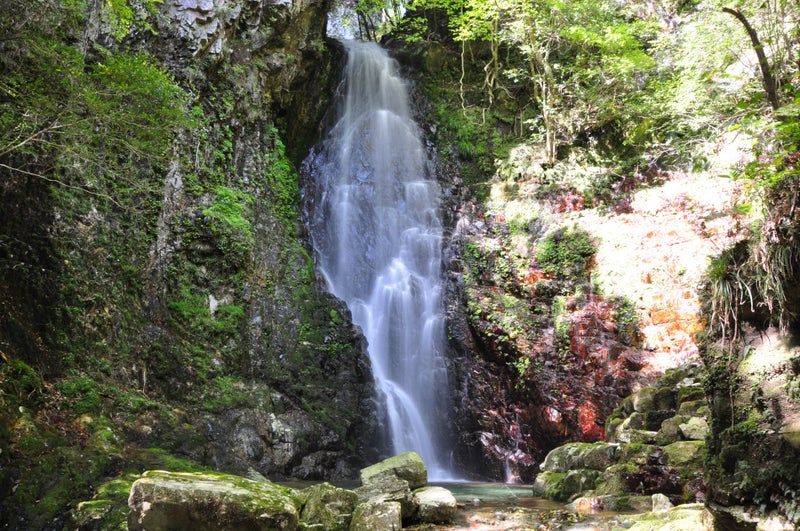 ハリオの滝24m 植魚の滝18m 古座川町 小幸の滝めぐり ぶらり日記