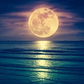 世界は優しい☆おひつじ座の満月に向けてメッセージのサムネイル画像