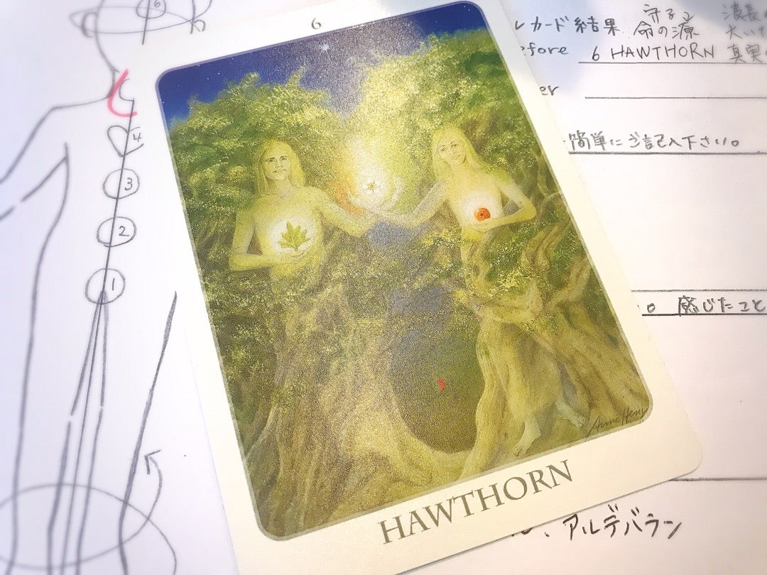 【レムリアを通して繋がっていた私たち家族】スピリチュアルセッションを受けての記事画像