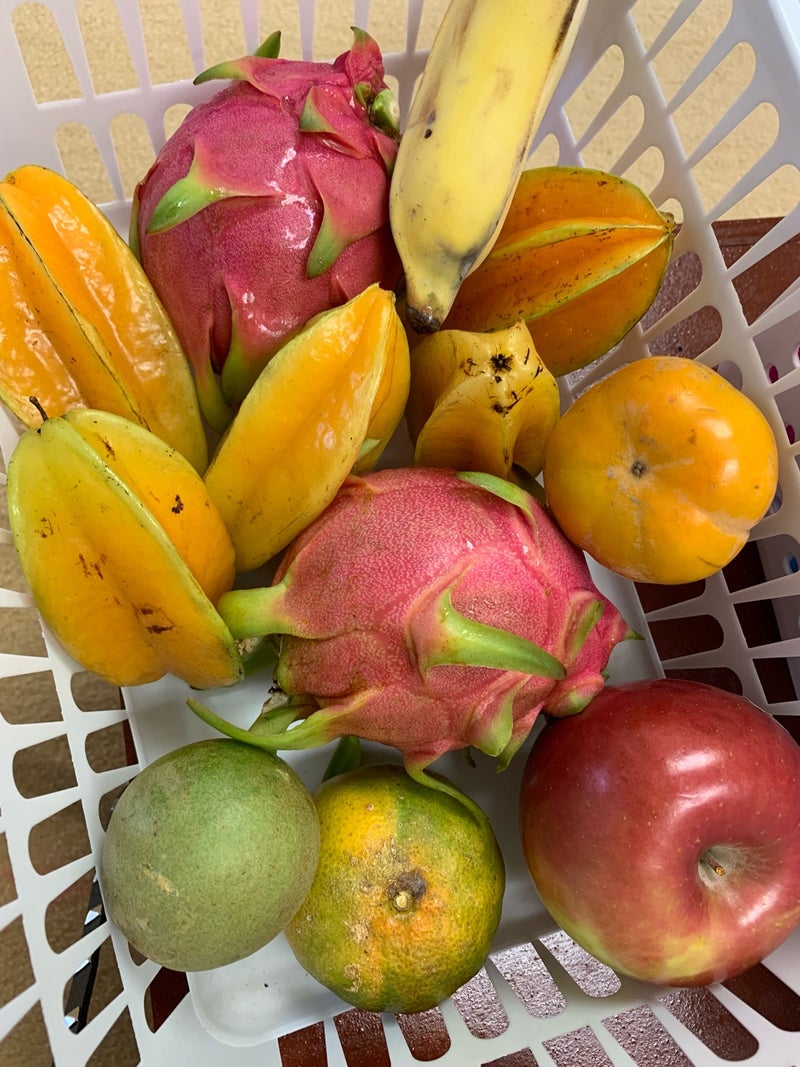 果物の名前いくつ言える さくらぐみハワイのブログ