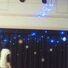 飾り付け中！の画像